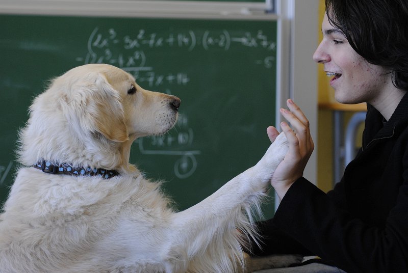 La Relazione Uomo-Cane a Scuola: Un Approccio Innovativo per Favorire Inclusione e Crescita Personale