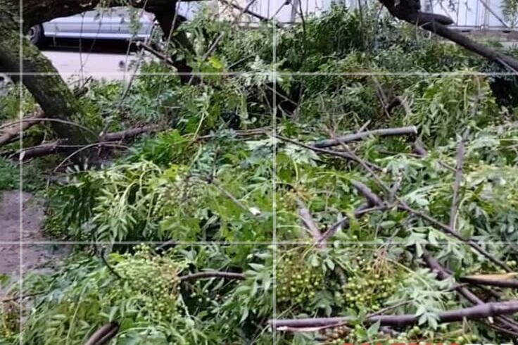 Allerta meteo sul gargano per vento forte. Ci sono stati crolli