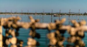La Regione Puglia Stanzia 4 Milioni per la Riqualificazione dei Canali di Lesina e Varano