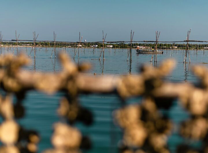 La Regione Puglia Stanzia 4 Milioni per la Riqualificazione dei Canali di Lesina e Varano