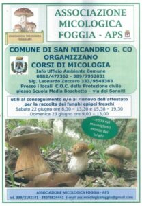 Corso per Patentino Raccolta Funghi: Formazione a San Nicandro Garganico