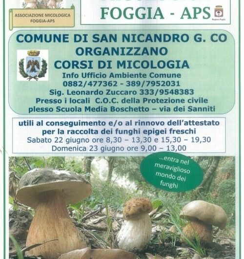 Corso per Patentino Raccolta Funghi: Formazione a San Nicandro Garganico
