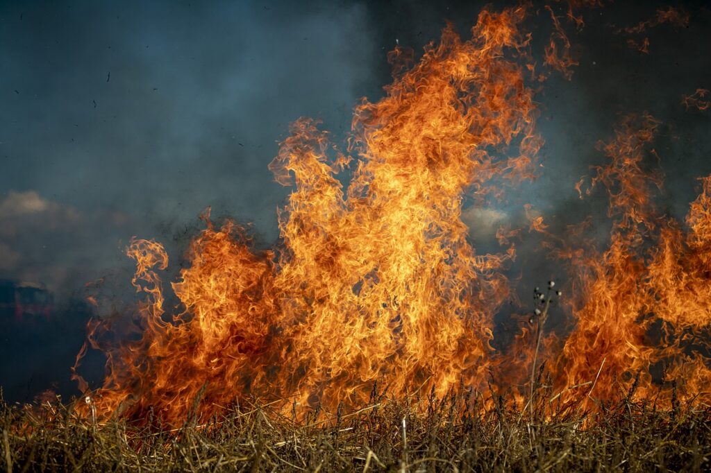 Tragico Ritrovamento: Uomo di 79 Anni Vittima di un Incendio di Sterpaglie in Salento