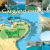 Scopri il Gargano: Tour in Barca lungo la costa e alle Grotte Marine